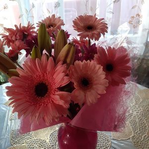 Meet your Posher, Maria